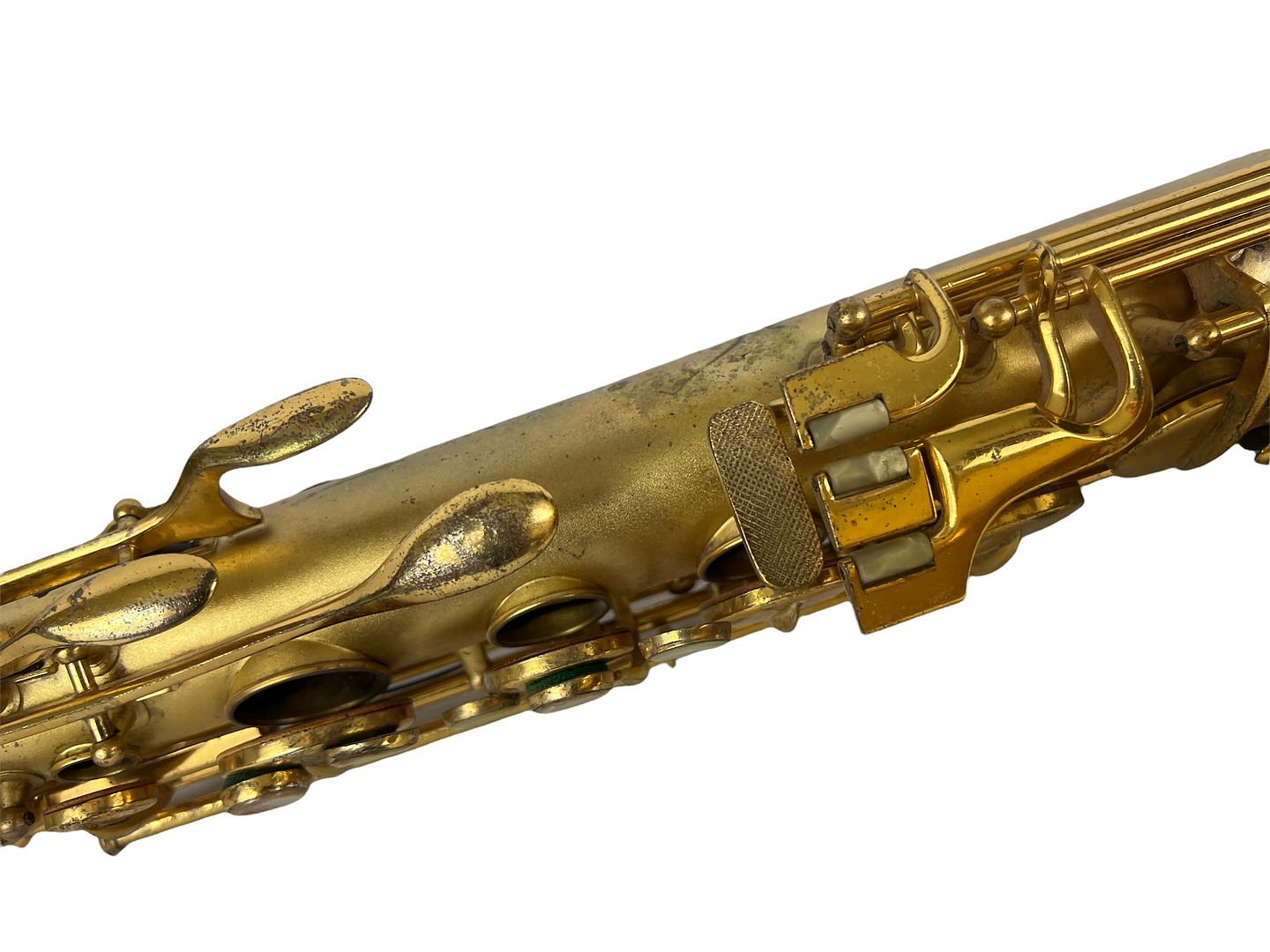 PhotoRoom_189_20220805_190105