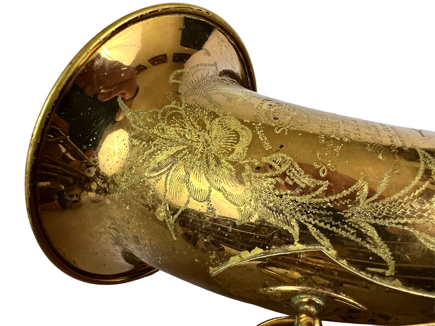 PhotoRoom_191_20221003_214754