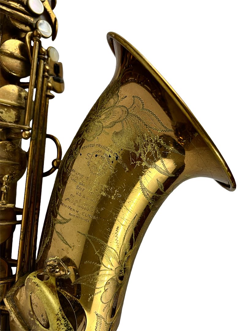 PhotoRoom_300_20221003_214755