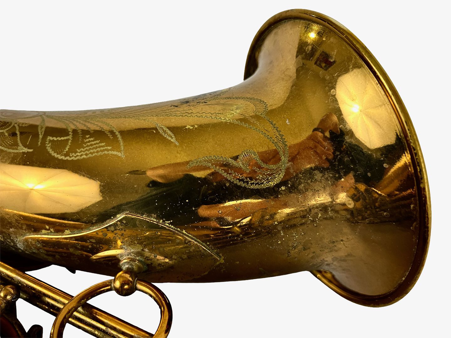 PhotoRoom_326_20221003_214756