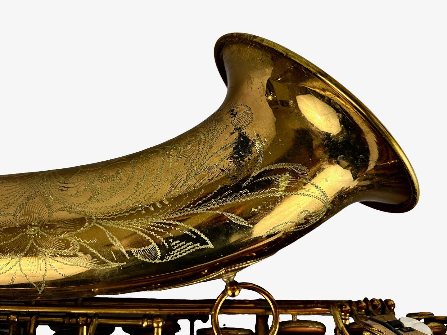 PhotoRoom_336_20221003_214756