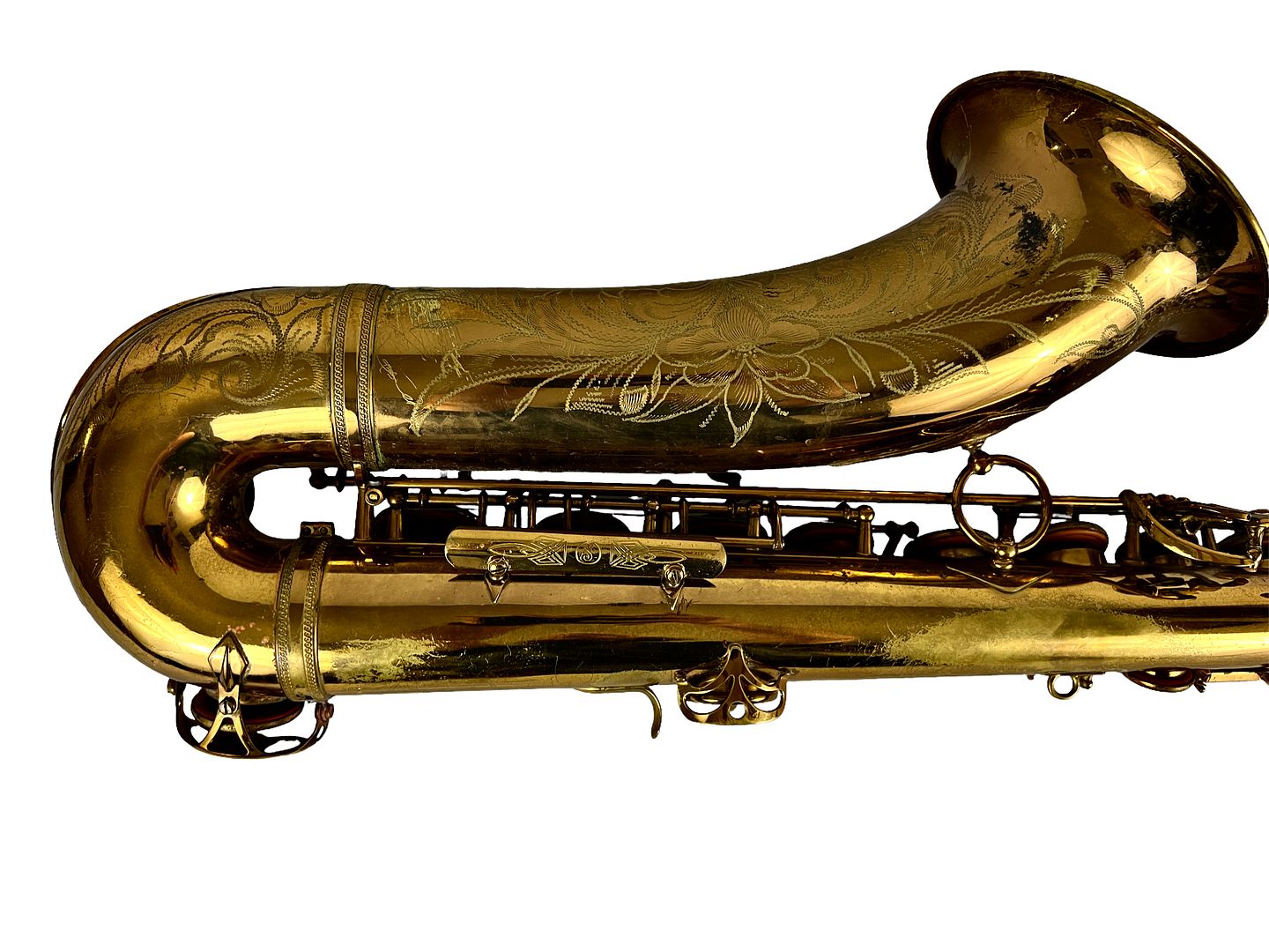 PhotoRoom_338_20221003_214756