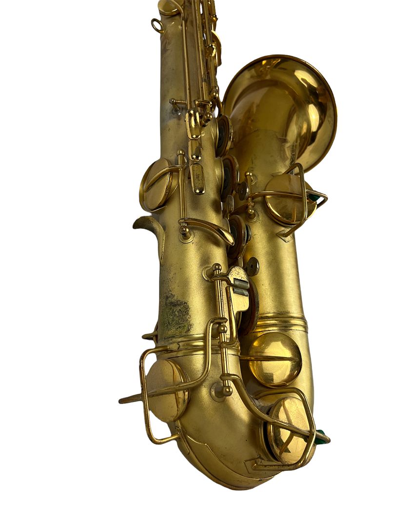 PhotoRoom_393_20220805_190107