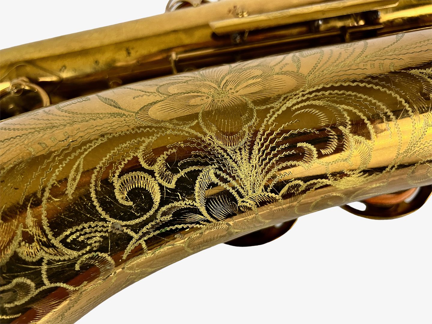 PhotoRoom_424_20221003_214756