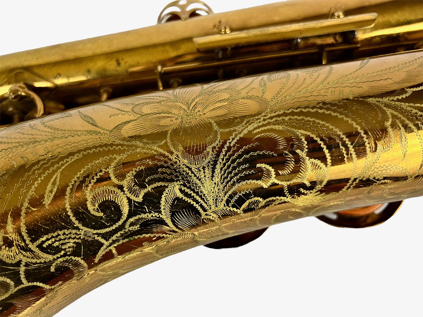 PhotoRoom_425_20221003_214757