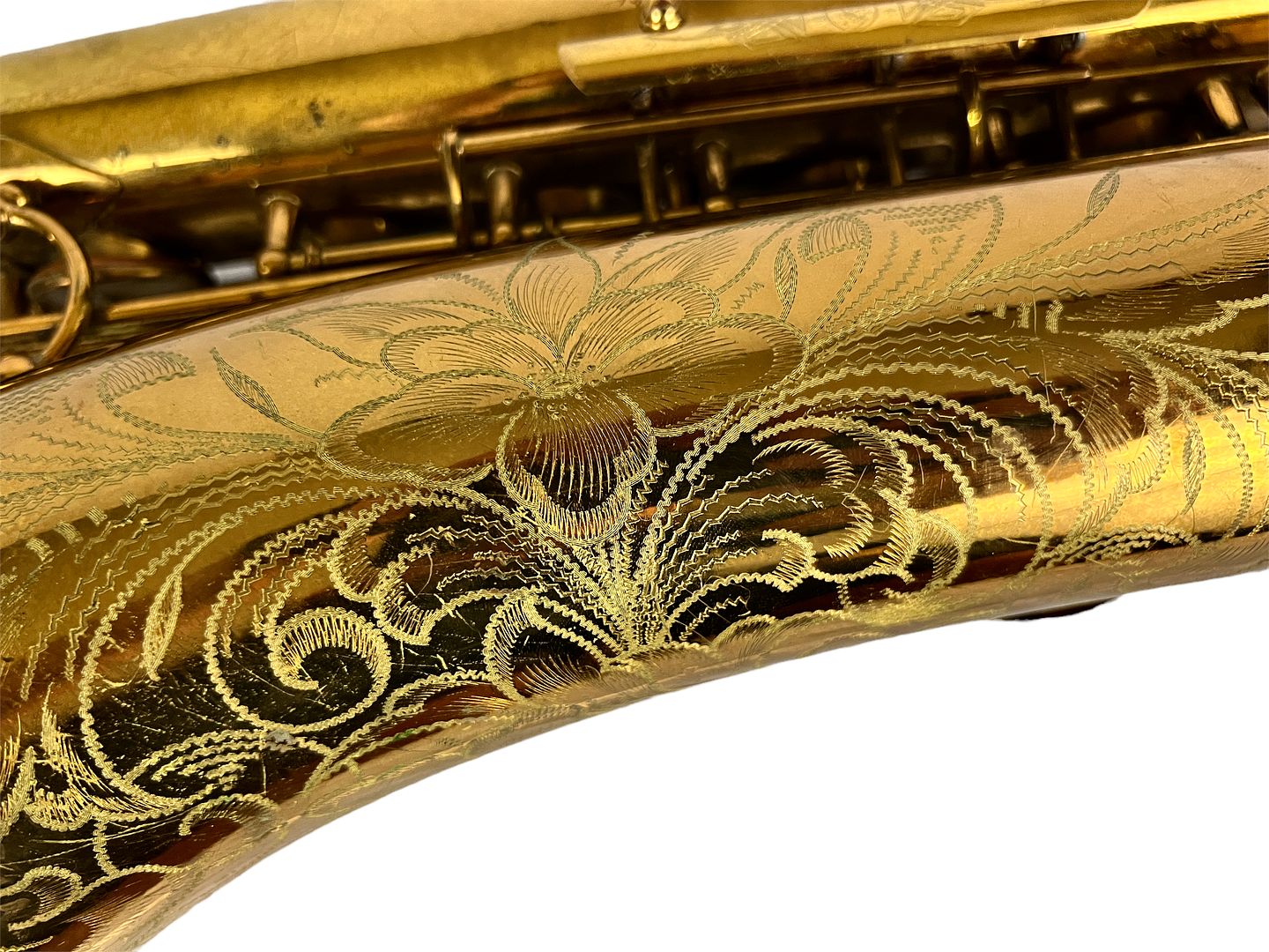 PhotoRoom_426_20221003_214757