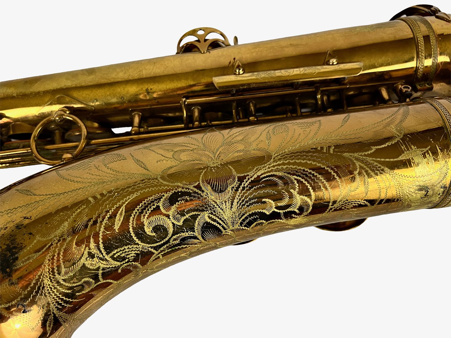 PhotoRoom_427_20221003_214757