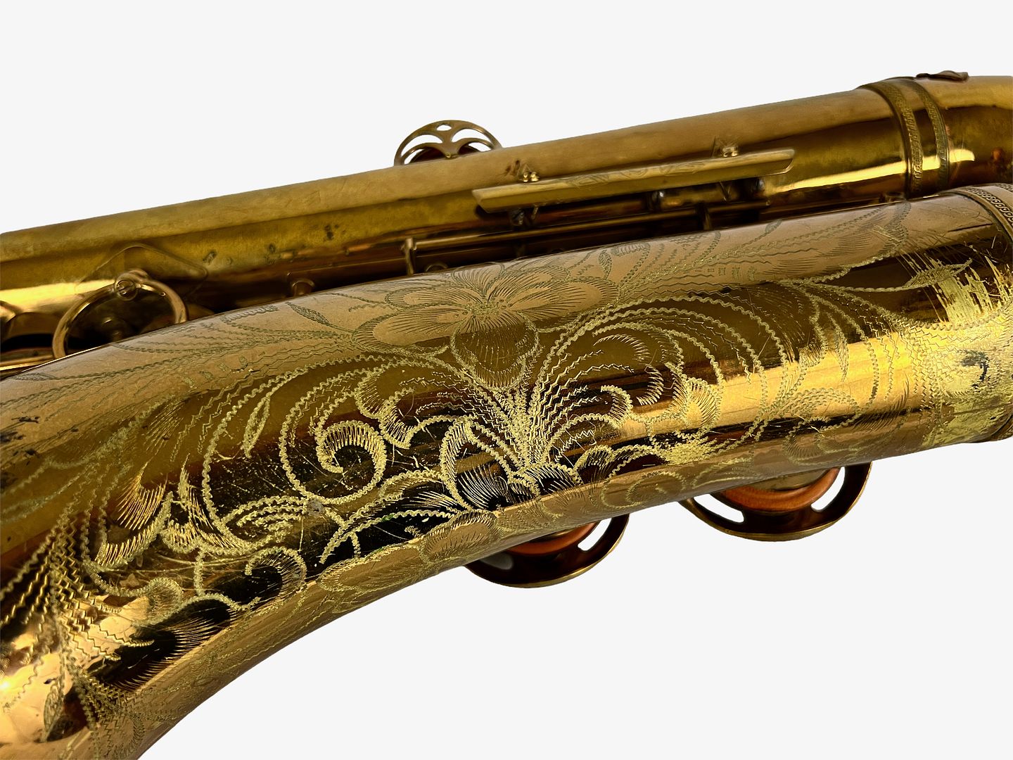 PhotoRoom_428_20221003_214757