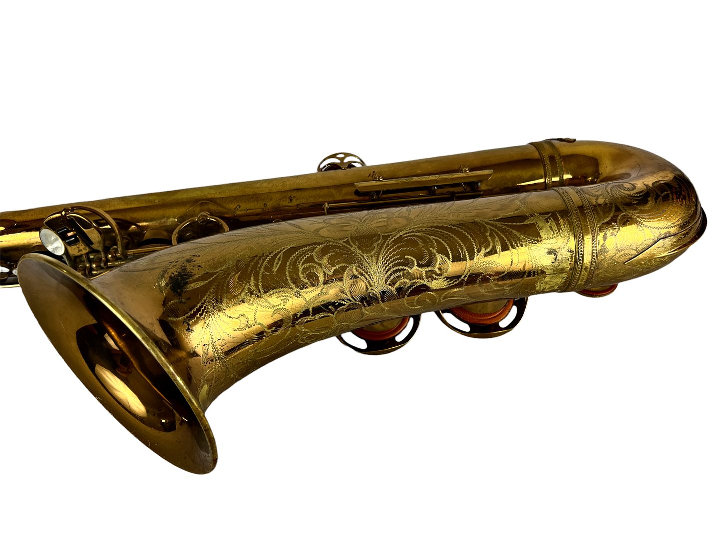 PhotoRoom_430_20221003_214757