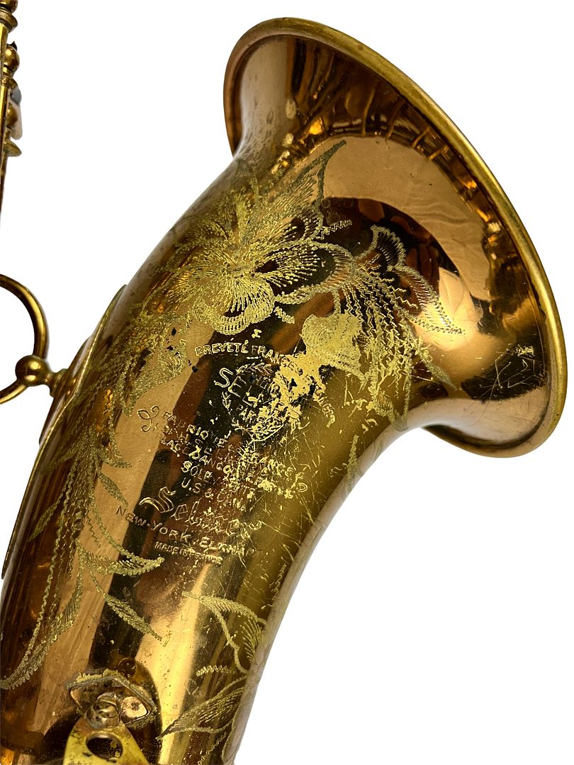 PhotoRoom_442_20221003_214757