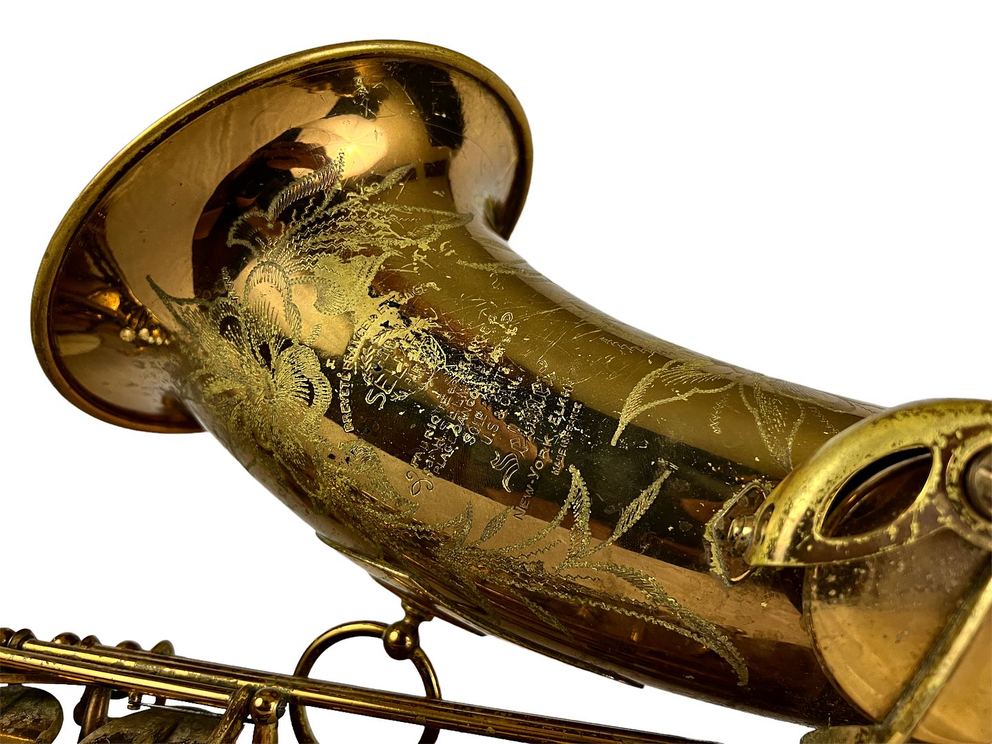 PhotoRoom_446_20221003_214757