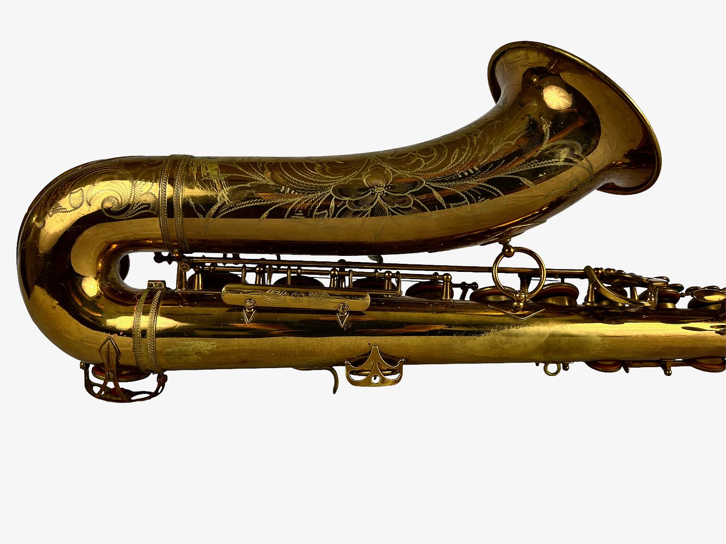 PhotoRoom_448_20221003_214757