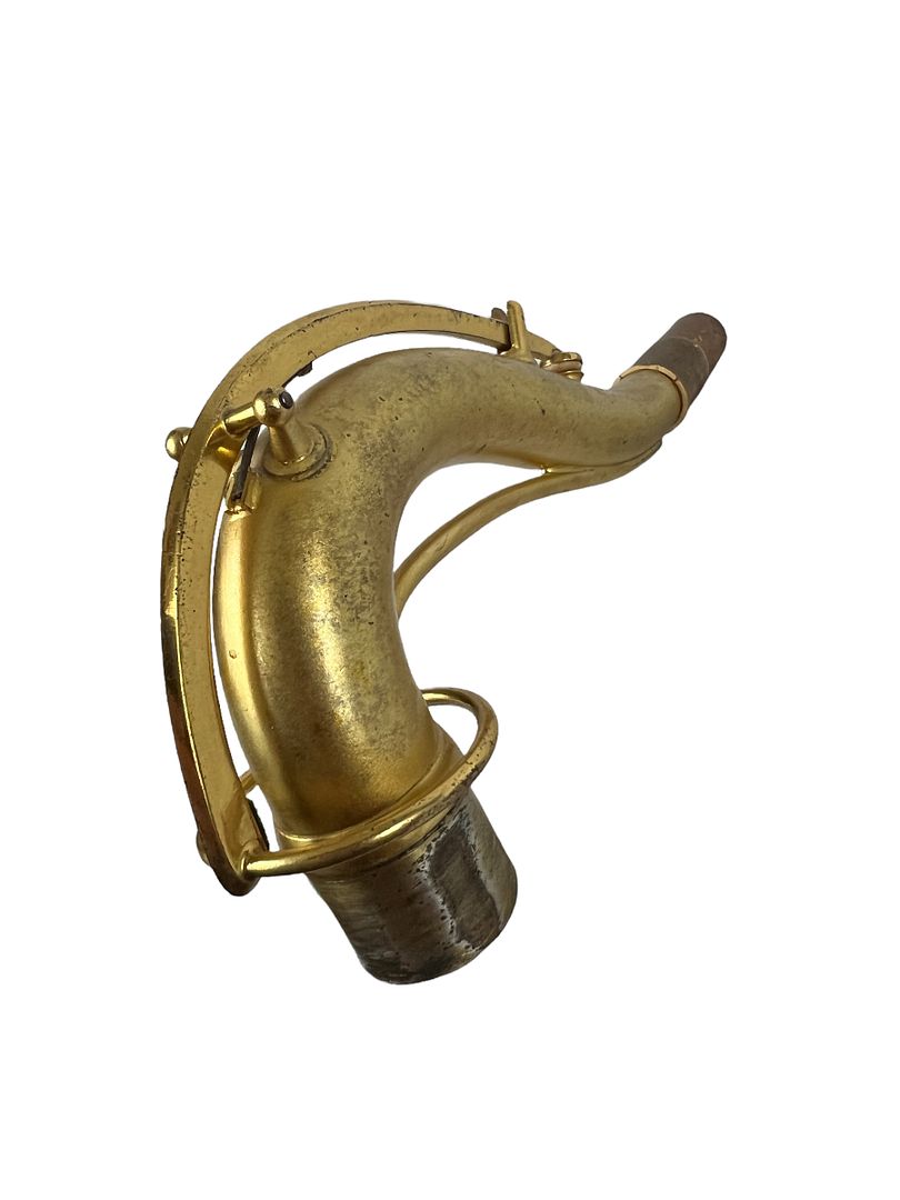 PhotoRoom_521_20220805_190109