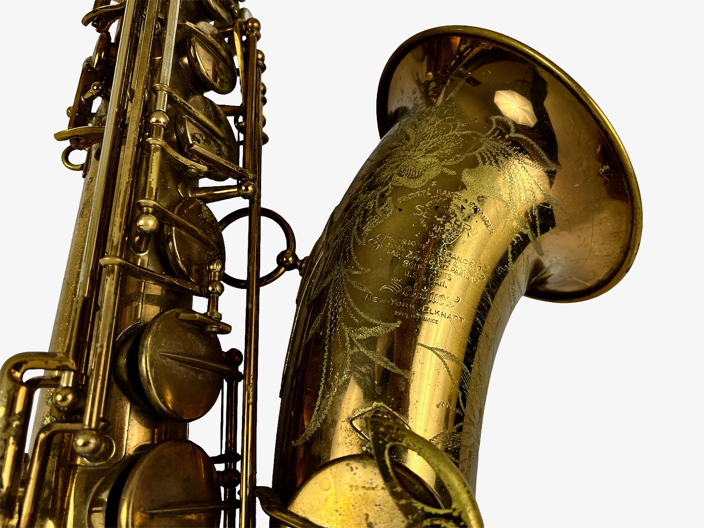 PhotoRoom_525_20221003_214758