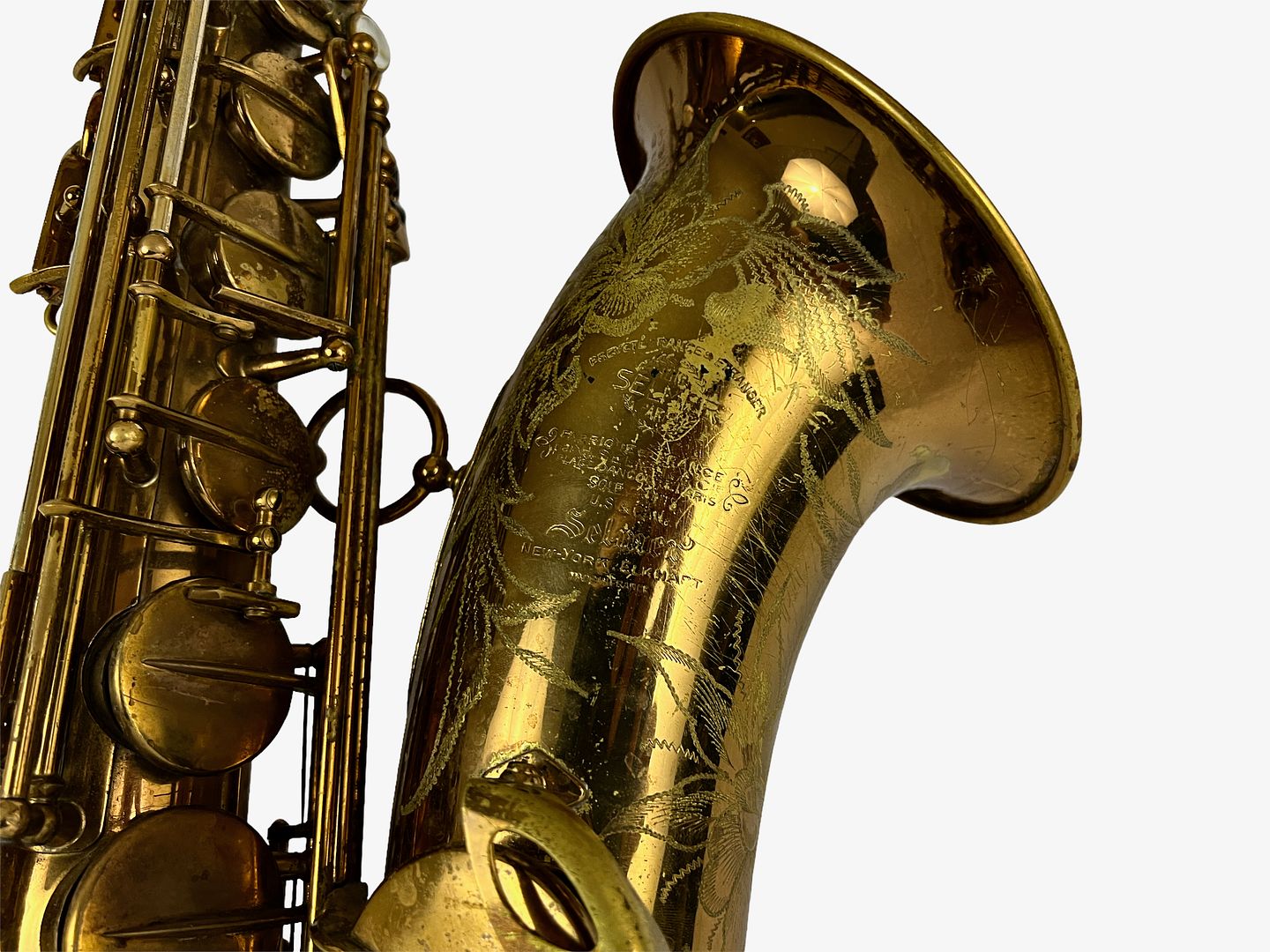 PhotoRoom_533_20221003_214758