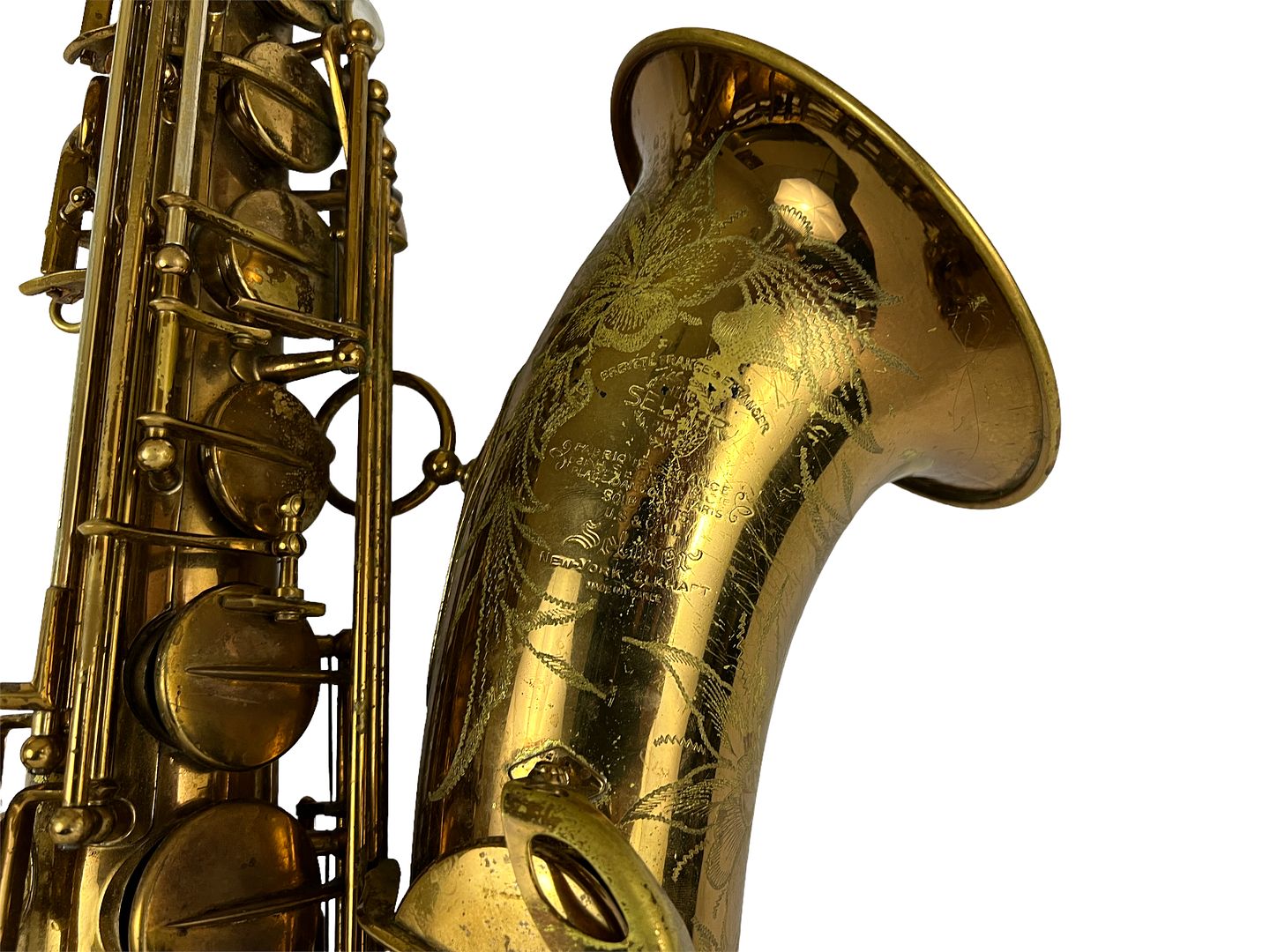 PhotoRoom_534_20221003_214758