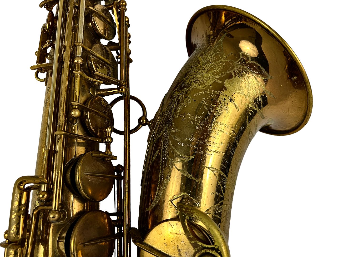 PhotoRoom_536_20221003_214758