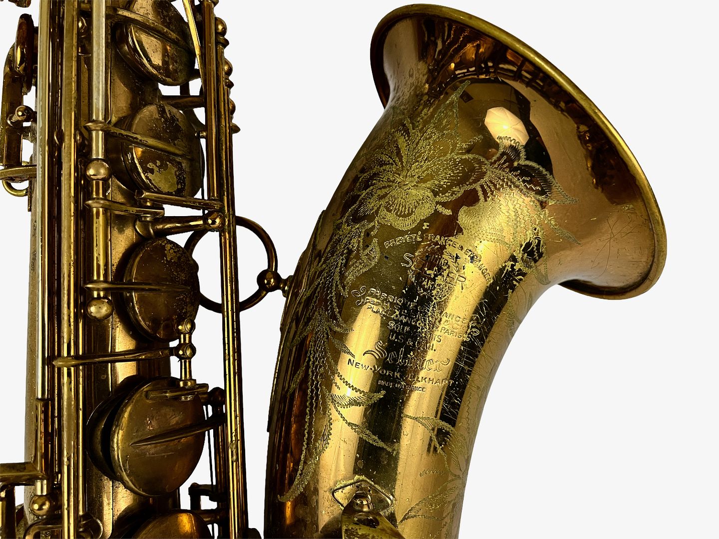 PhotoRoom_541_20221003_214758