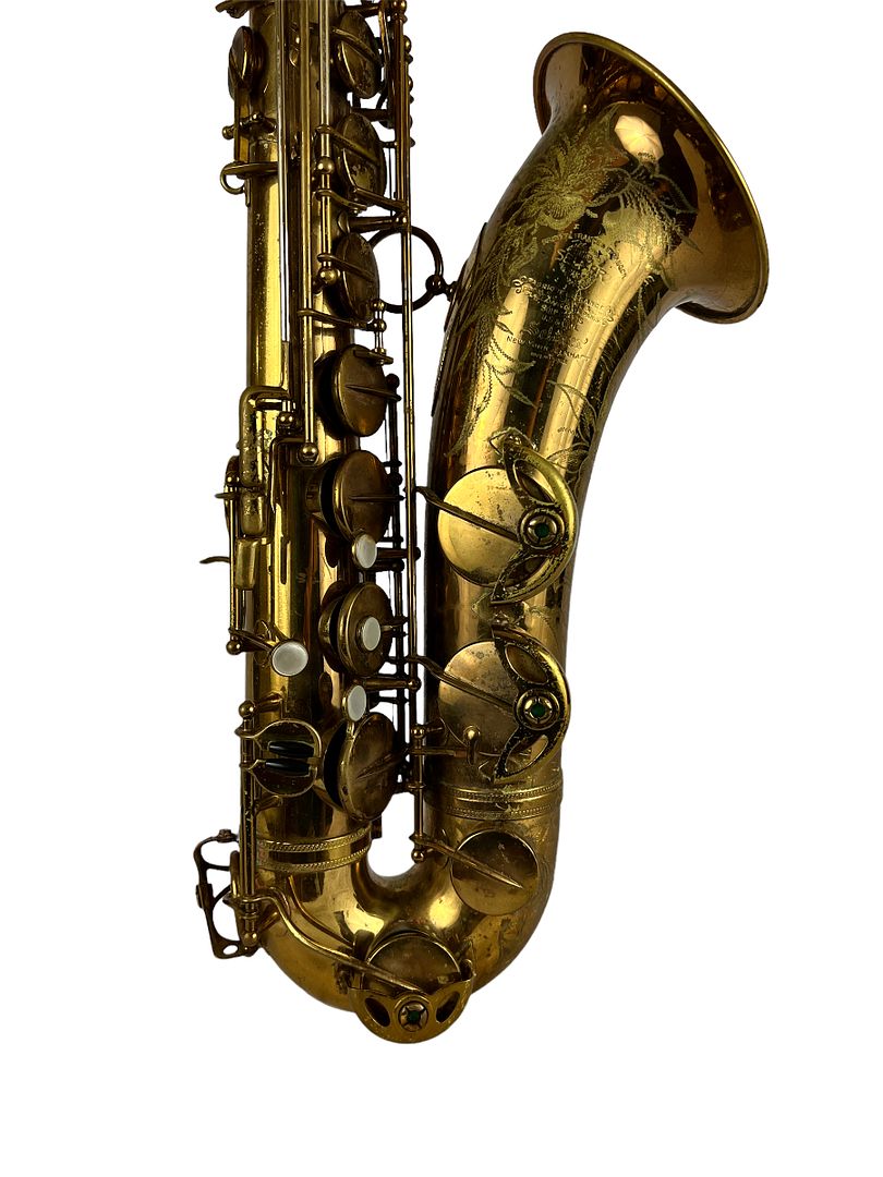 PhotoRoom_586_20221003_214758