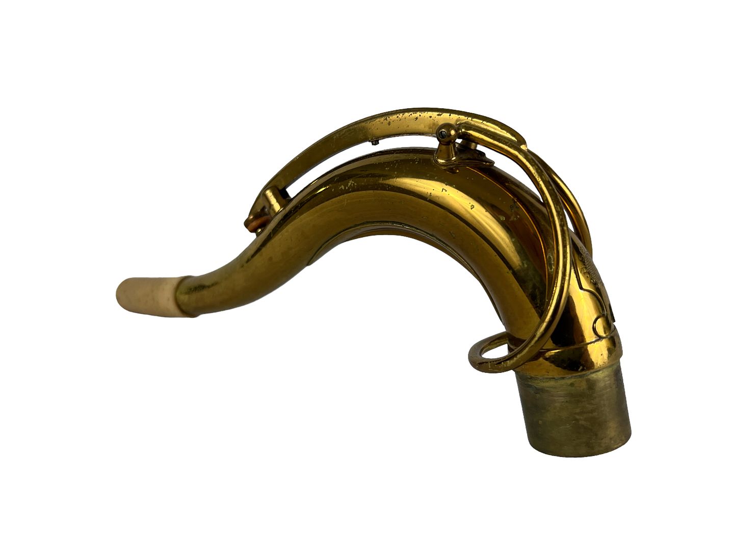 PhotoRoom_728_20221003_214800