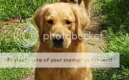 Photobucket - Video and Image Hosting