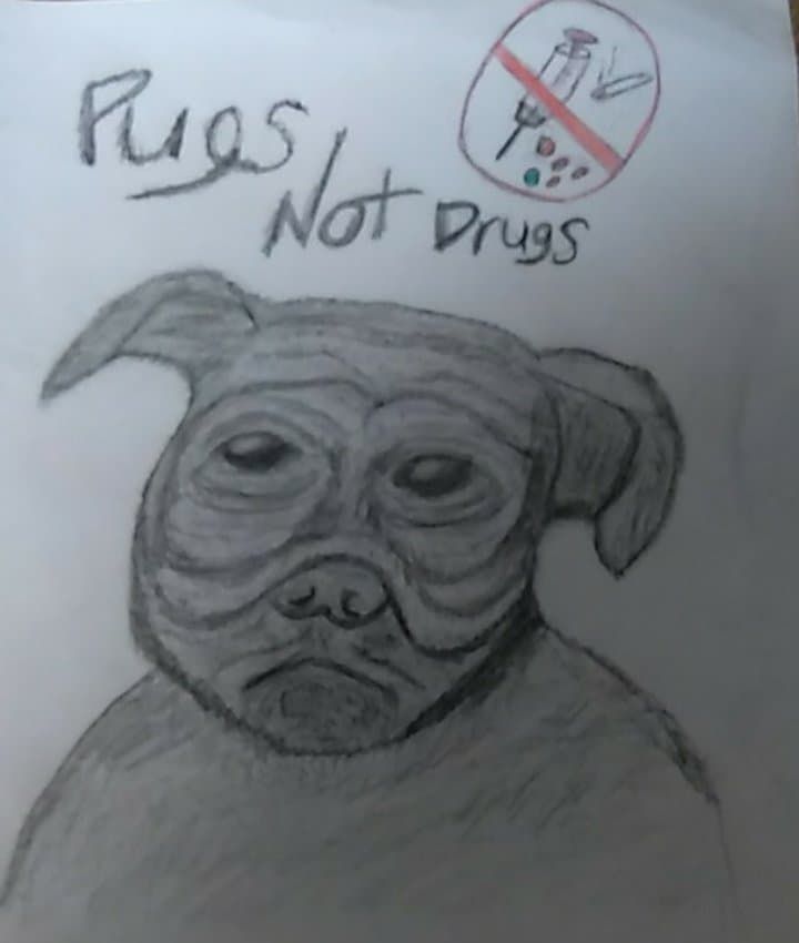 Pugs_Not_Drugs