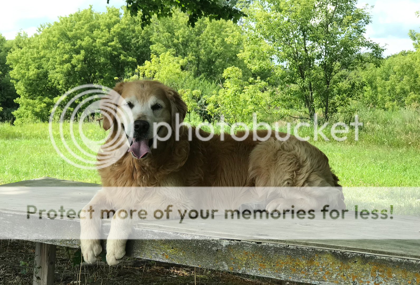 Photobucket - Video and Image Hosting