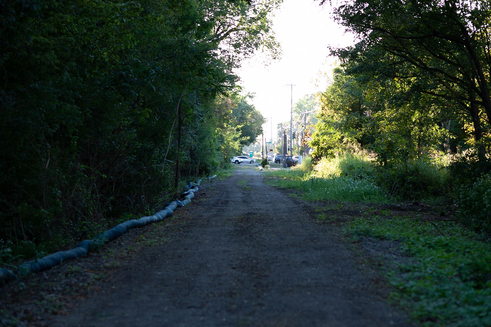 city_193.jpg