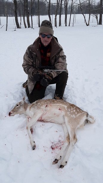 Took a ride up to north central PA`s Tioga ranch for this fallow doe taken from a herd of around 150 which with all the snow was easier said then done.. Picture a foot or more snow covered with an inch or more ice with another six inches of snow. Pretty to look at but a bitch to drive an ATV or walk... Anyway it took time to single out a female that gave a clear shot around 60 or so yards and with a little too much trigger pull I managed to hit her right front leg where it joins the body and then the chase was on. Trying to get another shot caused her and another doe to break off and head to the wooded hilly area with me and the guide tramping through the ice which was a little to much for this senior citizen. Found her bedded by a blow down and missed the shot but sending her back to the herd and after some time I had a clear shot putting one through the lungs and another quarter away that exited the right shoulder. I did not want to chase her again. From start to finish took about three hours.... I went home with some really good cuts of venison... An interesting point was the amount of hunters the ranch has hosted, whether because of Covid or the weather or both, that has topped the usual numbers at this time of year by a very large amount... Cabin fever??