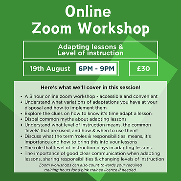 Zoom workshop - 19th August