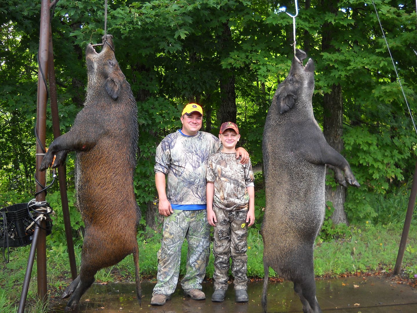 Wild Boar Hunting