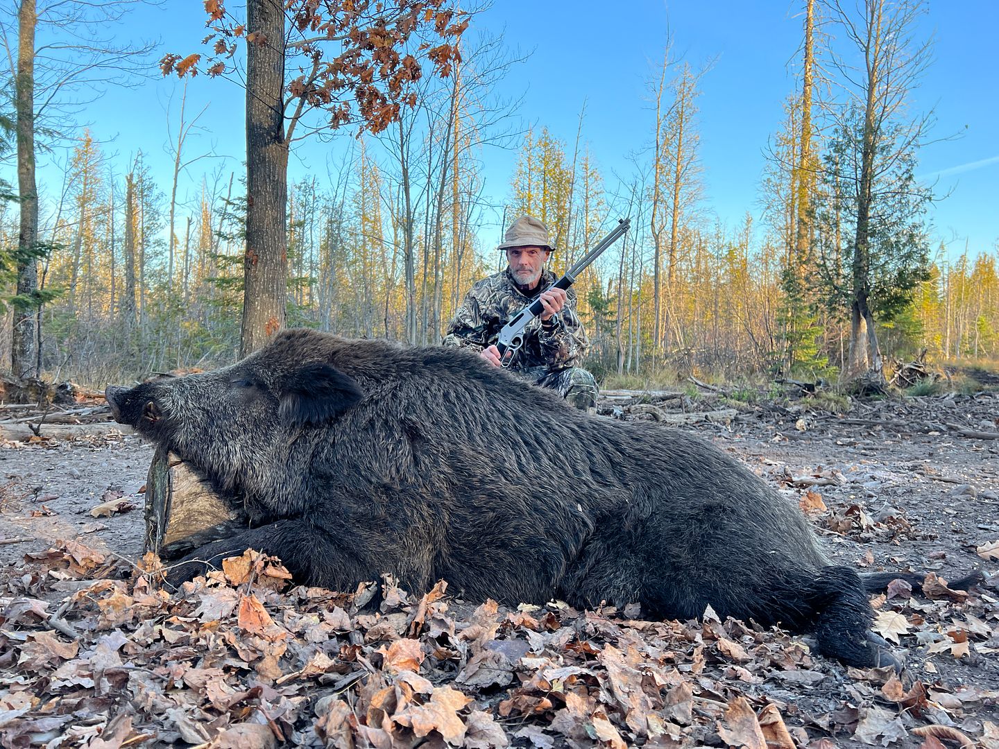 Wild Boar Hunting, russian boar