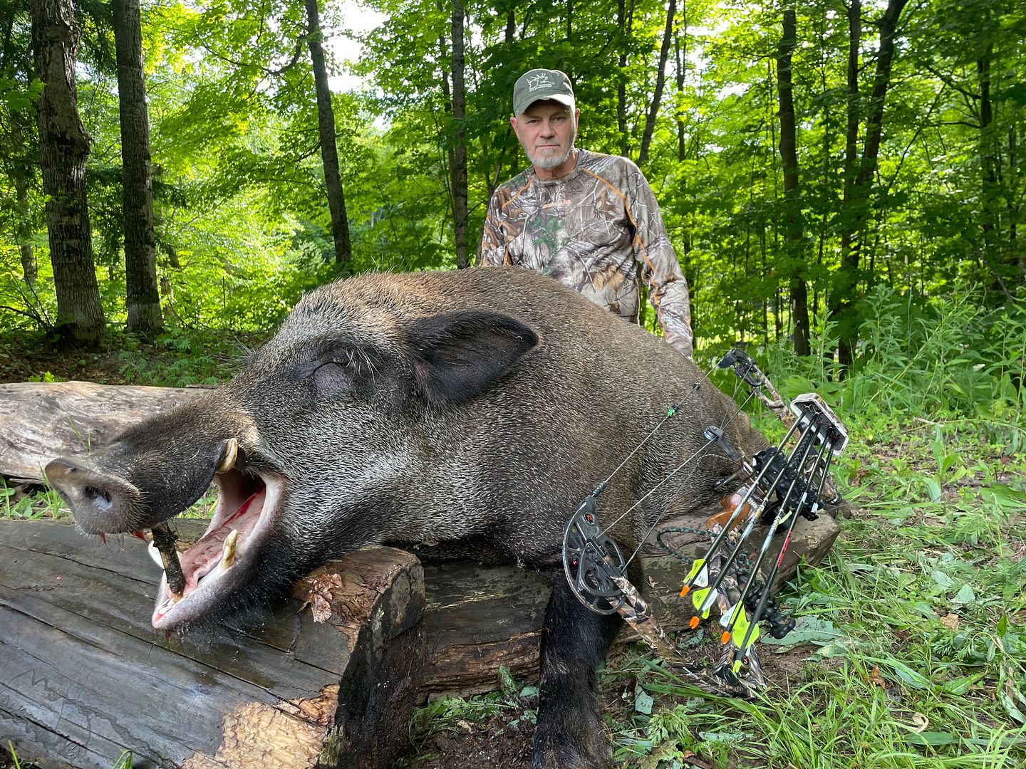WildBoar, Michigan Summer Boar Hunt