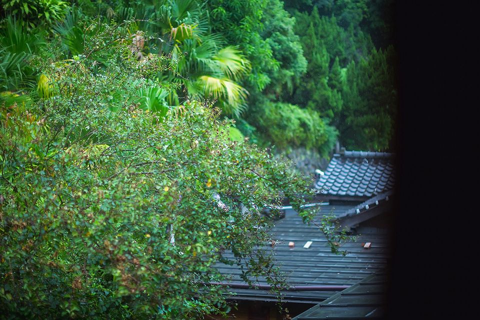 “婚禮攝影,台北婚攝,北投文物館婚攝,北投文物館,日系婚攝”