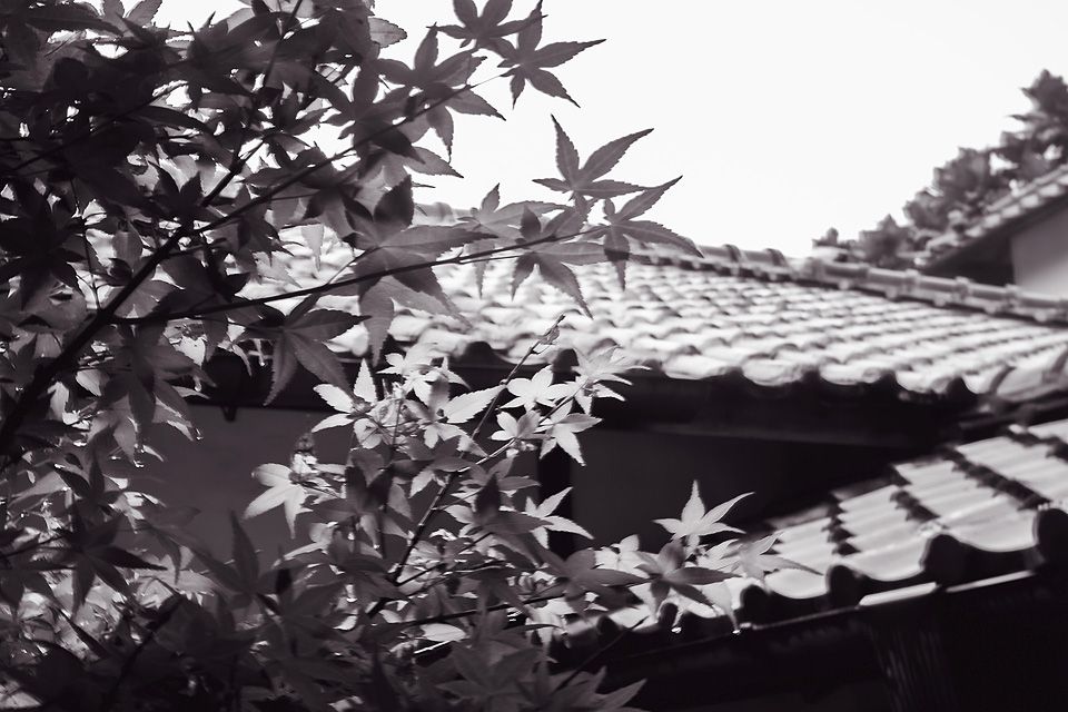 “婚禮攝影,台北婚攝,北投文物館婚攝,北投文物館,日系婚攝”