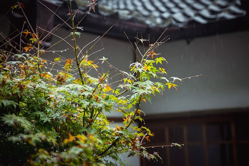 “婚禮攝影,台北婚攝,北投文物館婚攝,北投文物館,日系婚攝”