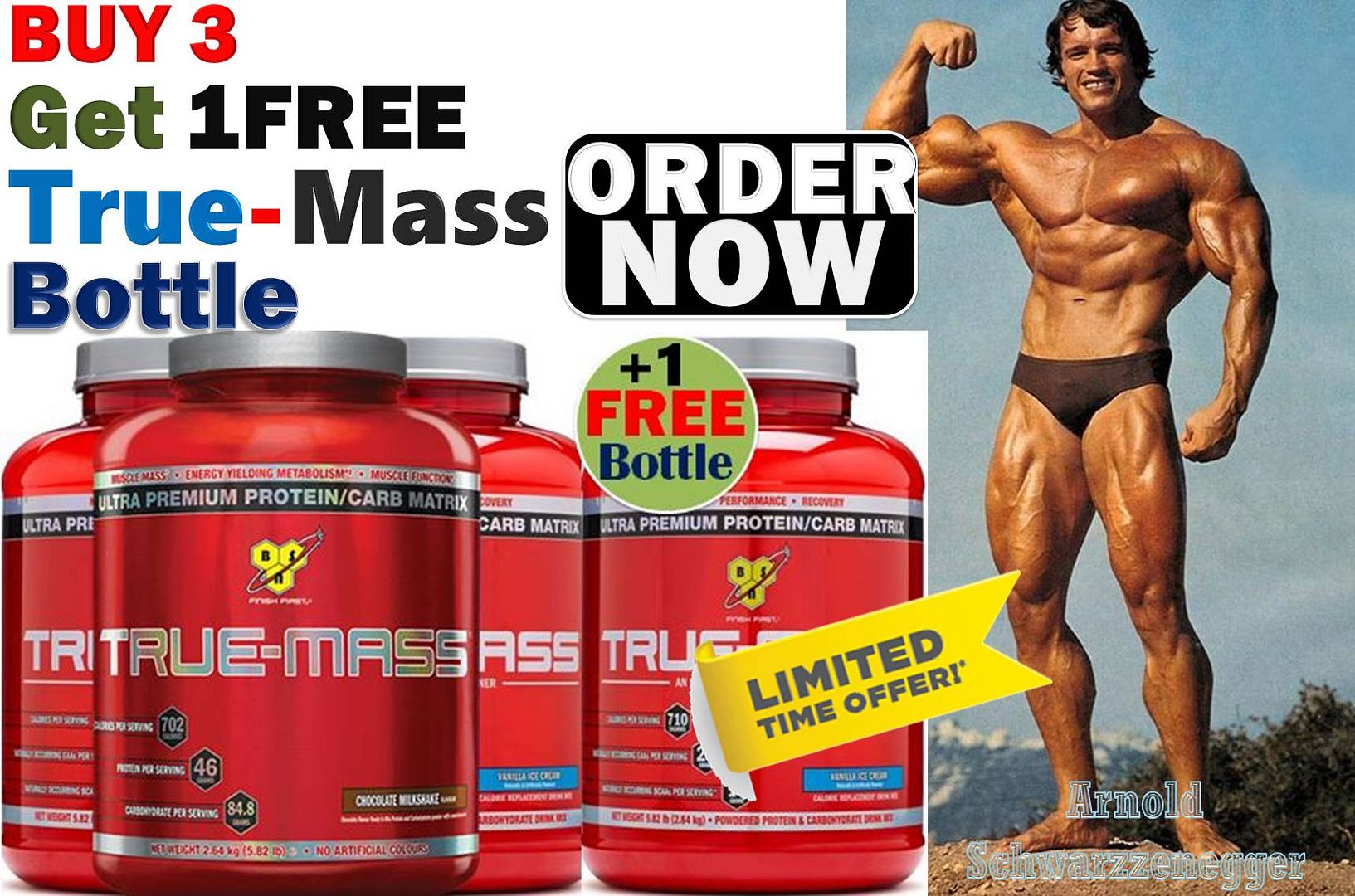Weight Gainer True Mass by BSN