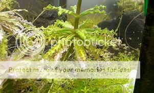 20170112_151406.jpg?width=301&height=183