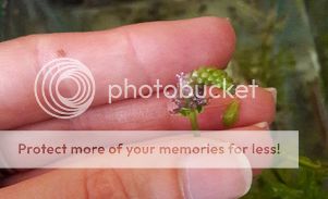 20170217_141630.jpg?width=301&height=183