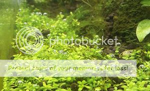 IMG_20200419_WA0017.jpeg?width=301&heigh