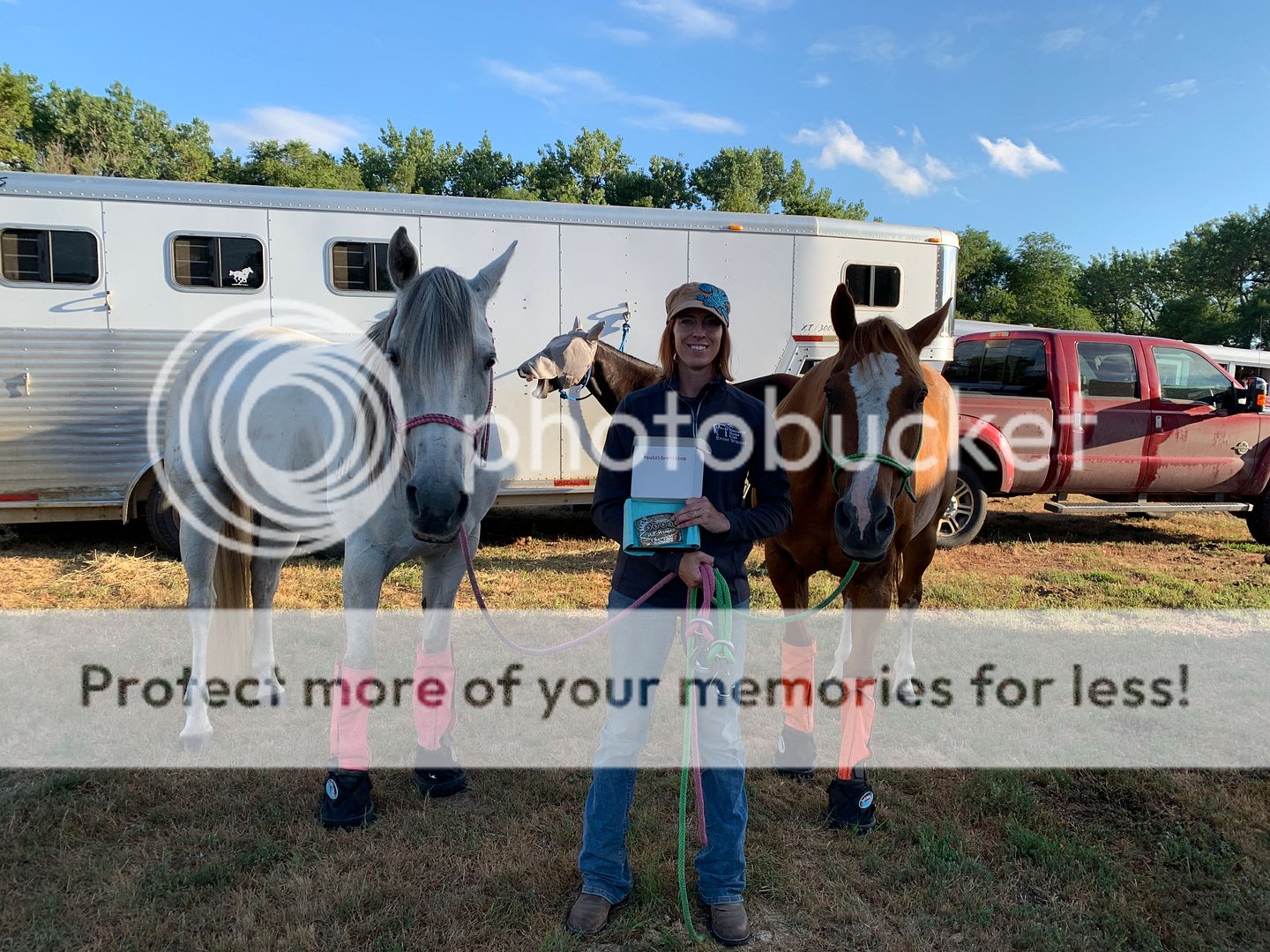 What’s your dream horse? Page 3 The Horse Forum