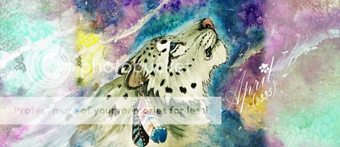 snow_leopard_banner_copy.jpg