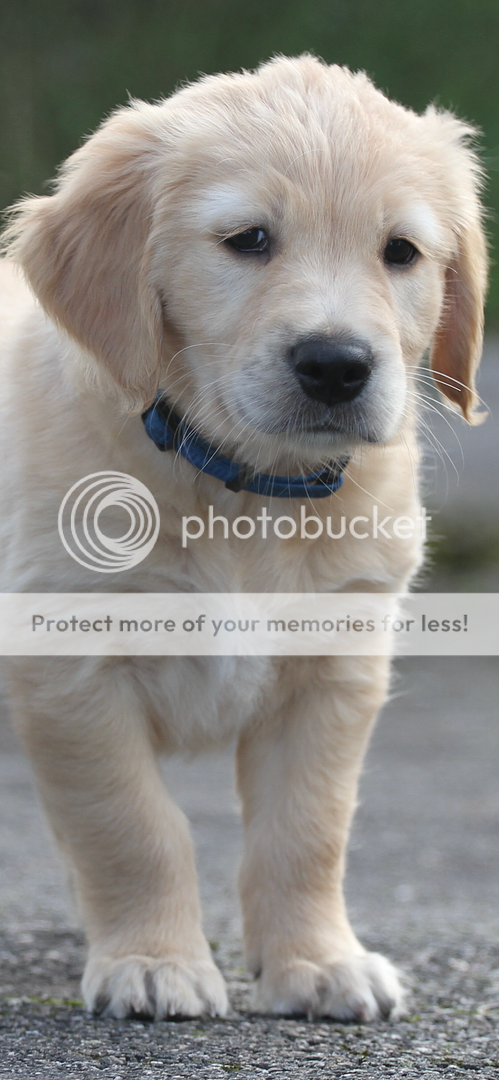 Photobucket - Video and Image Hosting