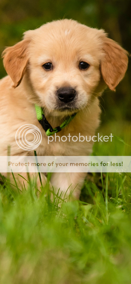 Photobucket - Video and Image Hosting