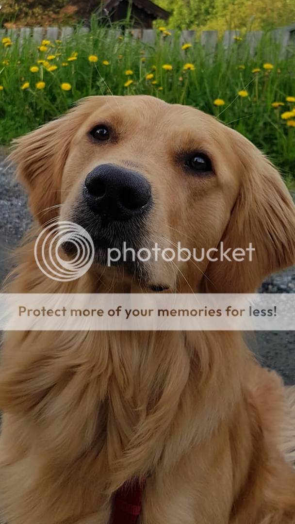 Photobucket - Video and Image Hosting