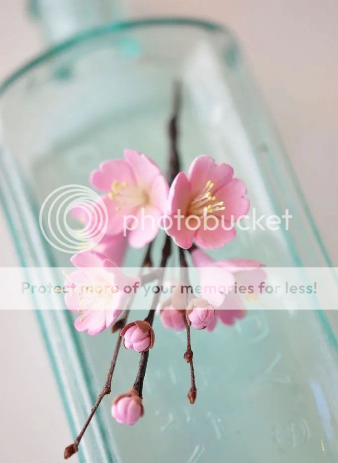 Molde cortador flor de cerezo silvestre trébol