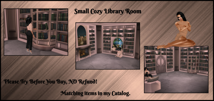 Small_Cozy_Library_RM_685