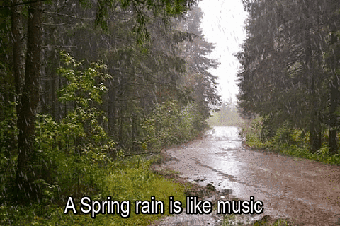 Animated - a spring rain is like music