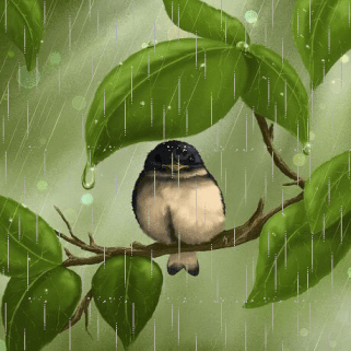 Animated rain and bird on branch