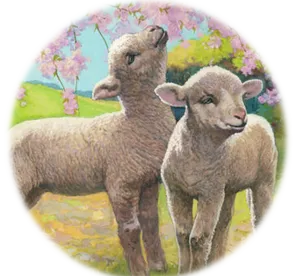 Lambs_and_blossoms_on_tree.jpg_-_yes(1)